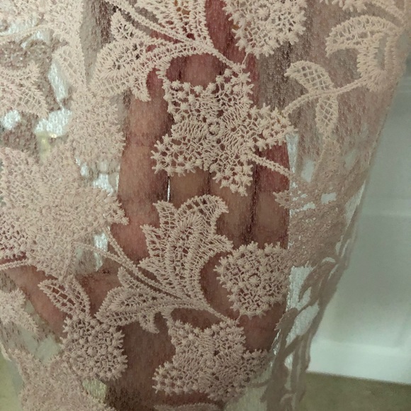 Lace blush Calvin Klein dress (knee length) - Picture 2 of 4